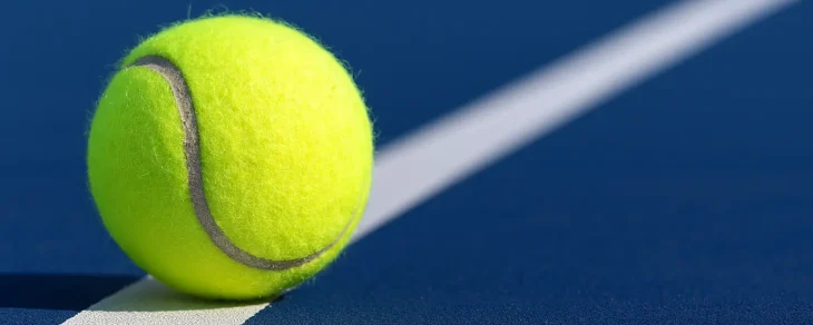 Сіннер виграв турнір ATP 500